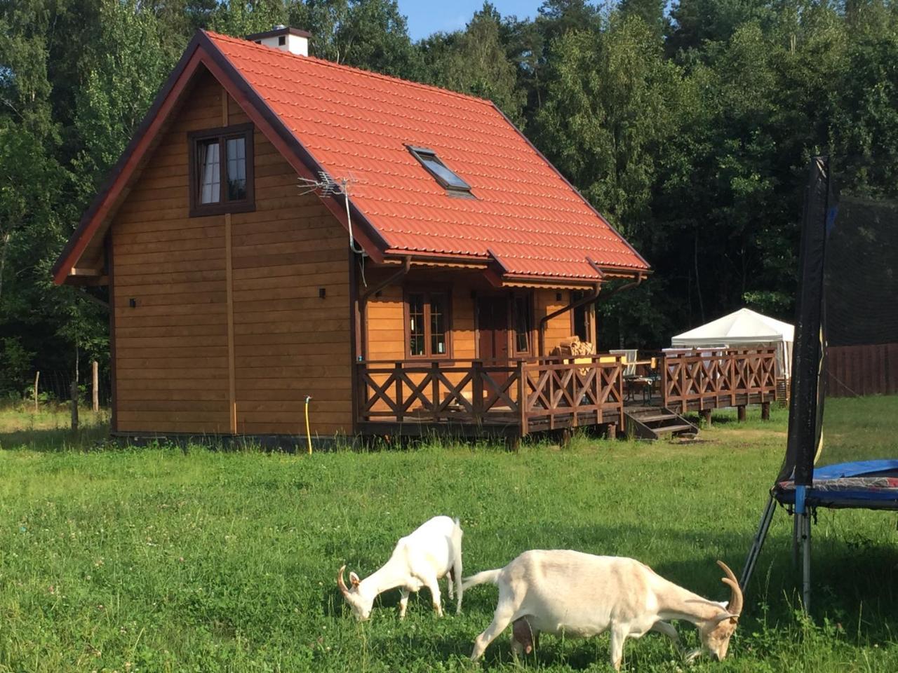 Villa Wypoczynek Na Mazurach U Sebka à Łukta Extérieur photo